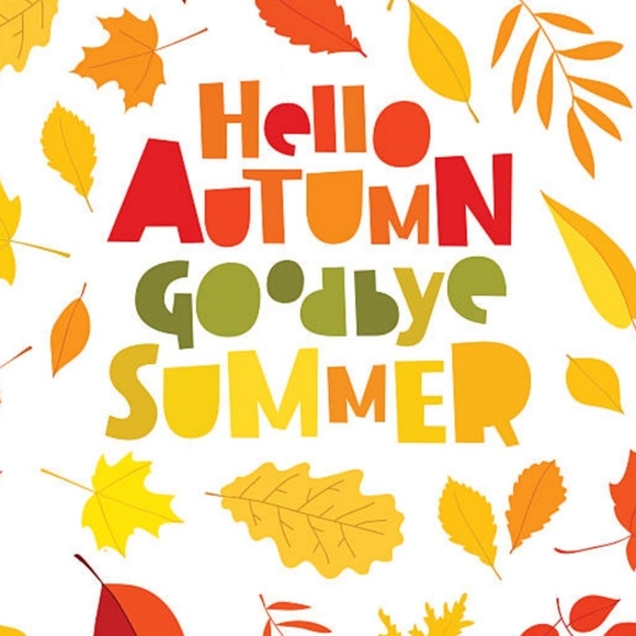 Meet your Posher, Marsha - Picture 12 of 16